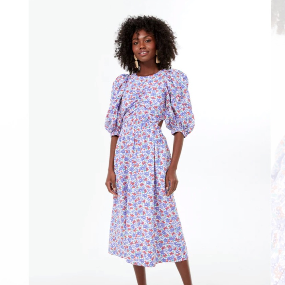 Tuckernuck Puff Sleeve Dress
